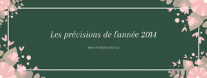 Les-prévisions-de-lannée-2014