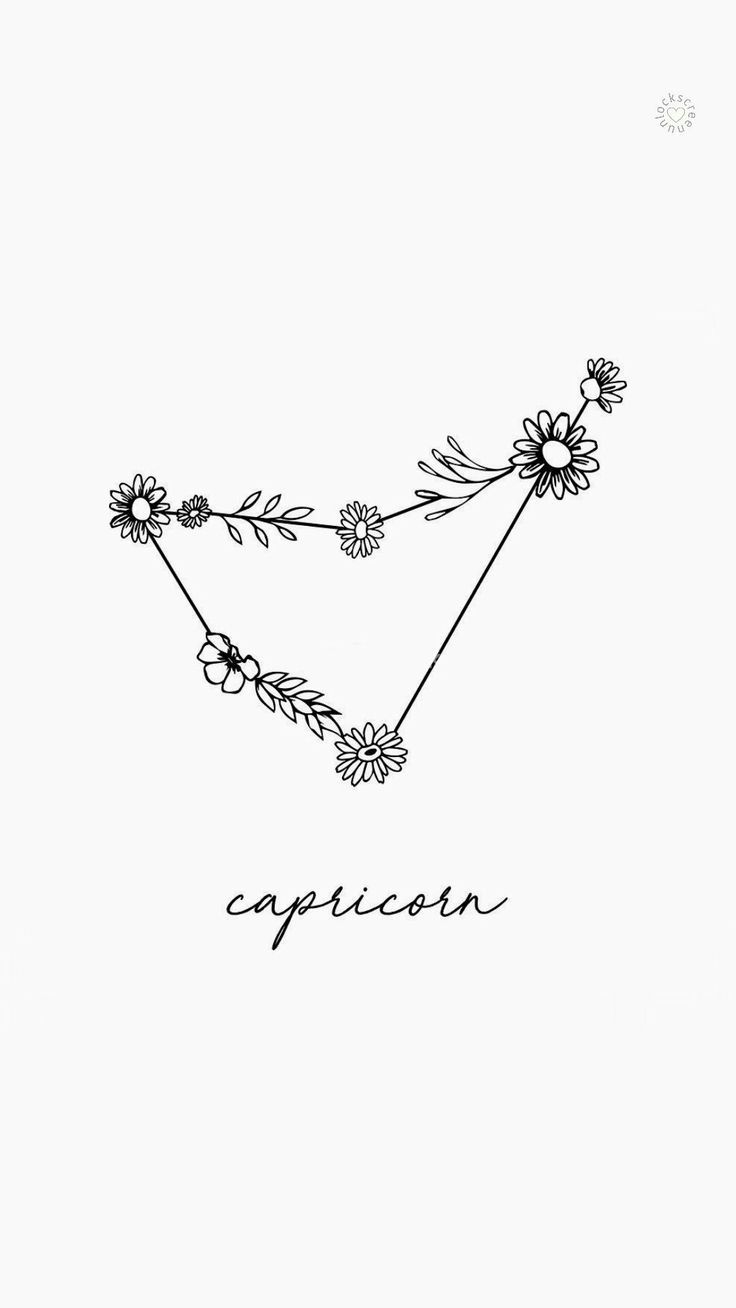 Capricorne - Signe Astrologique